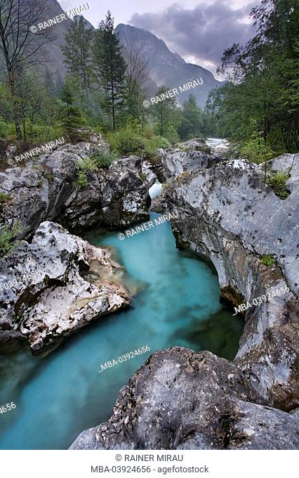 Slovenia, Triglav, national-park, plants, torrent, landscape