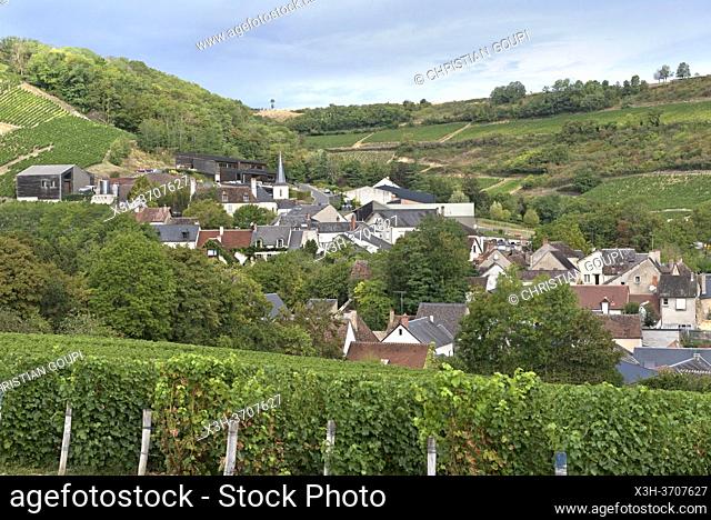 Vineyard around the village of Chavignol, Sancerrois natural region, Cher department, Historic province of Berry, Centre-Val de Loire region, France
