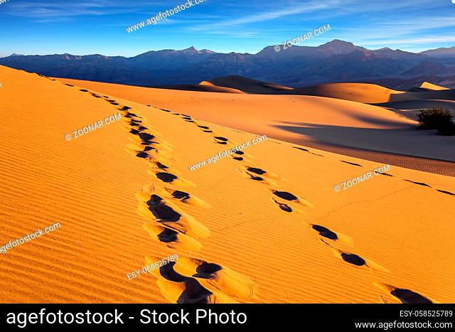 The picturesque chains of footprints in the sand dunes. Mesquite Flat Sand Dunes, California. USA. Orange sunset in the desert
