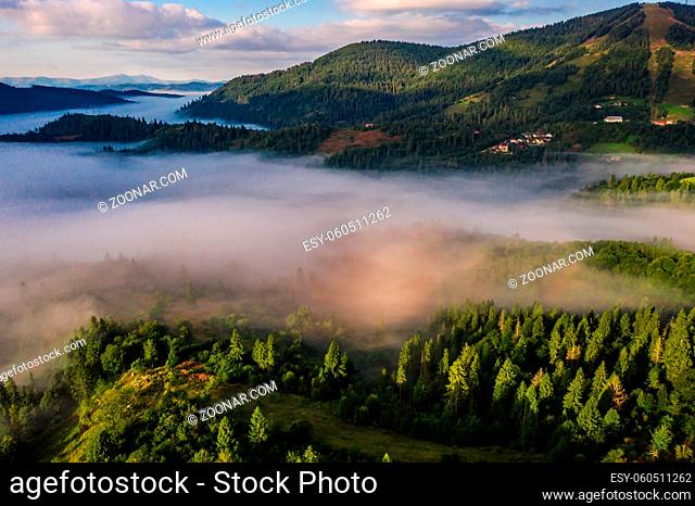 Aerial view of colorful mixed forest shrouded in morning fog