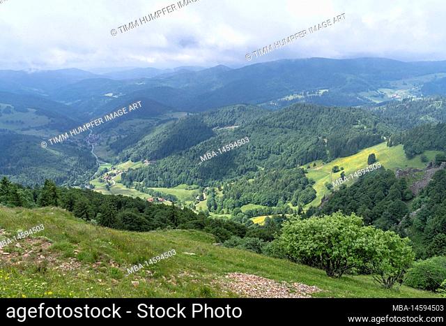 Europe, Germany, Southern Germany, Baden-Wuerttemberg, Black Forest, View from Belchen over the forested mountains in the Southern Black Forest