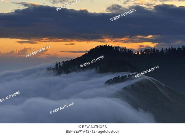 Nepal, Ghorepani, Poon Hill, Dhaulagiri massif, Himalaya, Sunrise view from Poon Hill, Dhaulagiri massif, Himalaya