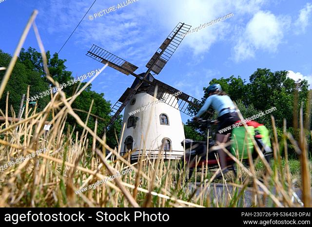 26 July 2023, Saxony, Dresden: A cyclist rides a cargo bike on the Elbe cycle path past the Gohlis windmill in the morning