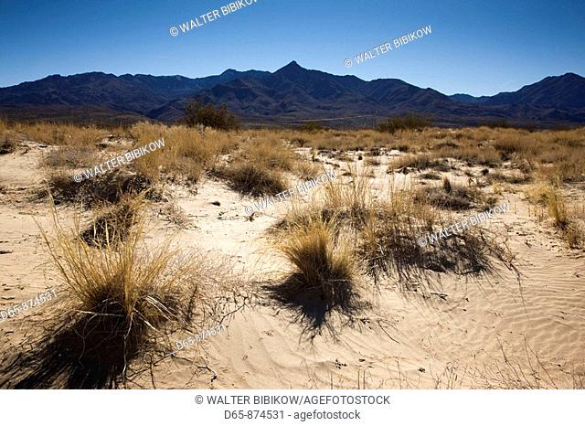 Kelso Dunes landscape, Mojave National Preserve, Kelso, California, USA