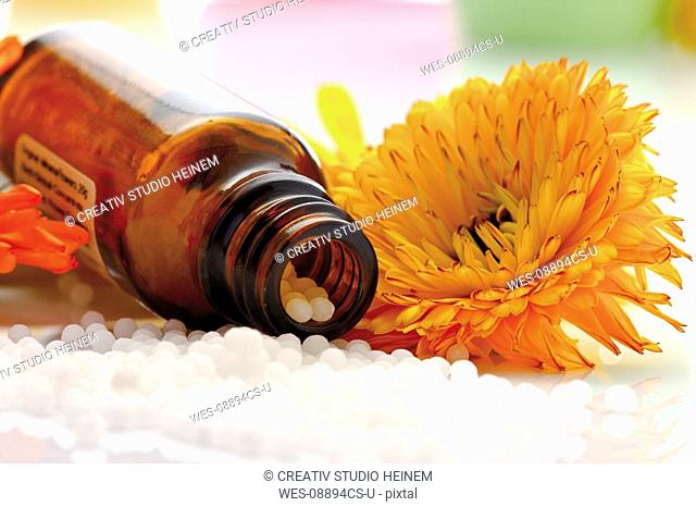 Medicinal flask with pills in front of Marigold Calendula officinalis, close-up