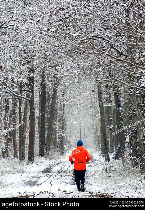 20 November 2022, Berlin: A jogger runs through the snow-covered Berlin forest at temperatures around zero degrees Celsius