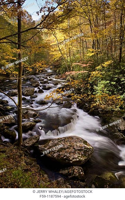 Autumn, Tremont, Great Smoky Mountains National Park, TN