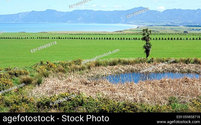 A rural landscape in Spring at Palliser Bay, North Island, New Zealand, with the Rimutaka range in the background
