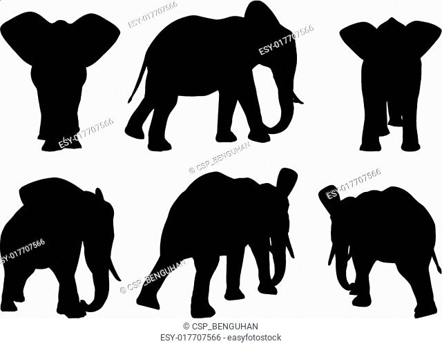Set of editable vector silhouettes of African elephants in walk poses