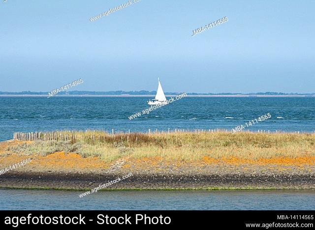 single sailing boat in front of the horizon line on the north sea