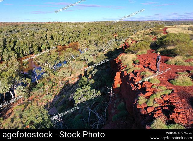 Aerial landscape view of Australian man standing on a cliff looking at Fortescue River in Millstream Chichester National Park in the Pilbara region Western...