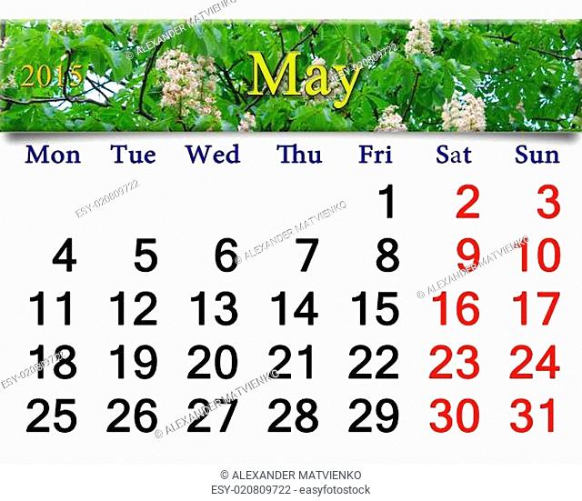 calendar for May of 2015 year with blossoming chestnut