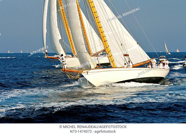 France, Var 83, Saint-Tropez, Les Voiles de Saint-Tropez meet every year in late September of beautiful classic yachts competing in regattas superb here Eleonar