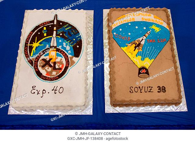 This is a close-up view of the Expedition 40 and Soyuz 38 cakes honoring the training staff and Expedition 3940 crew during a cake-cutting ceremony in the Jake...
