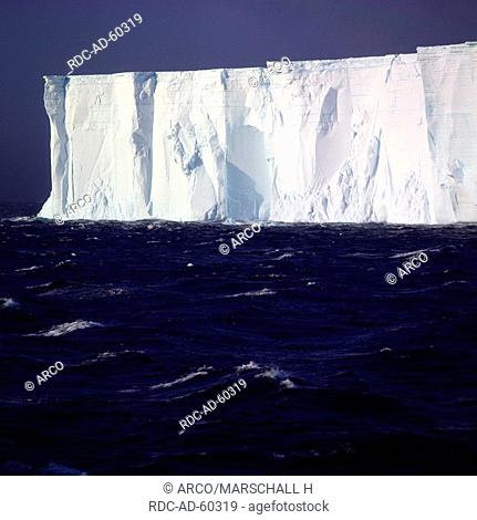 Iceberg, Bransfield Street, Antarctica