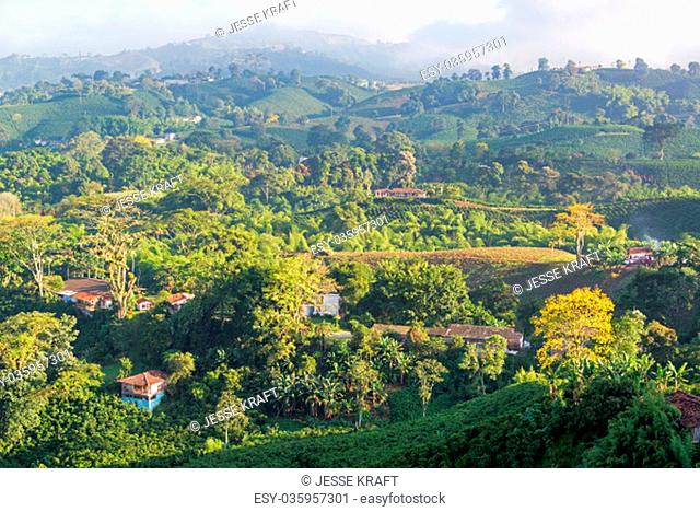 Rural landscape view of coffee plantations near Manizales, Colombia