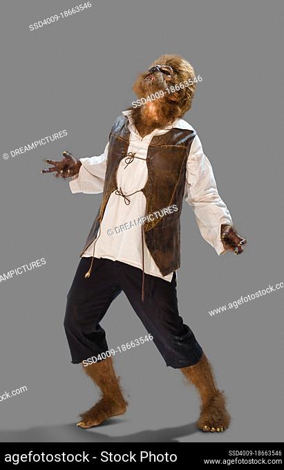Wolfman screaming into the sky in pain and horror, man dressed and acting in Halloween costume, against gray background