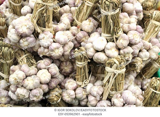 Bundles of fresh white garlic sold in the market, Phnom Penh, Cambodia