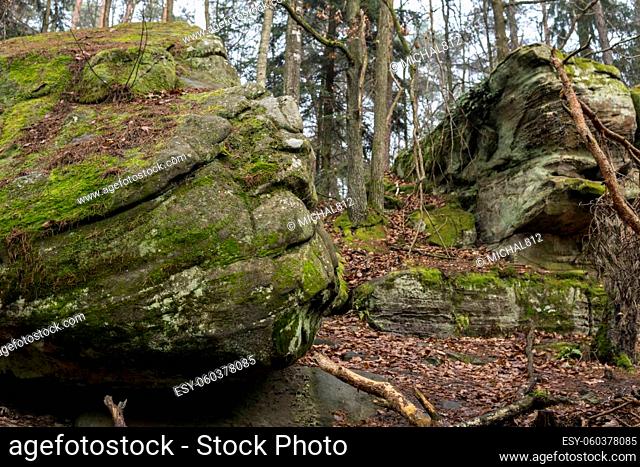 mushroom rock formation in sandstones covered with green moss in the middle of forest during autumn season