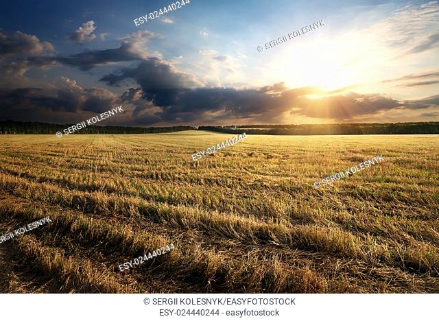 Sunbeams through clouds over the autumn field