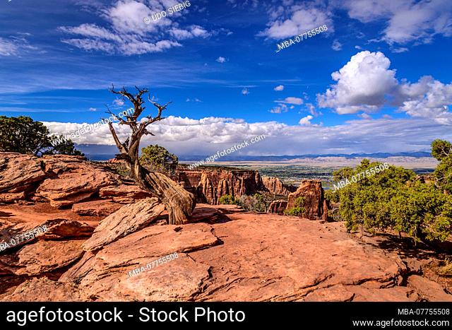 The USA, Colorado, Colorado Nationwide monument, Fruita, monument canyon against Grand Valley, Grand View