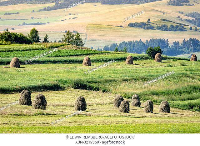 Haystacks dry in the sun in Niedzica, Lesser Poland, Poland