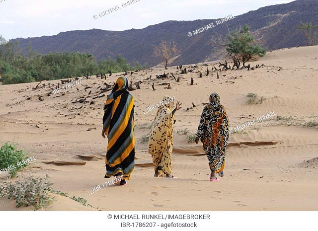 Veiled women with traditional dress walking near Atar, Mauritania, northwestern Africa