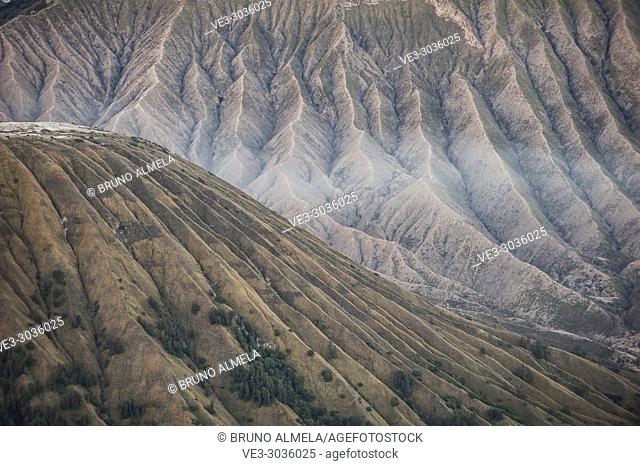 View of Batok and Widodaren Volcanoes slopes in Bromo Tengger Semeru National Park (East Java, Indonesia)