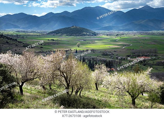 Springtime on the plain of Mantineia, near Tripoli, Southern Arcadia, Peloponnese, Greece