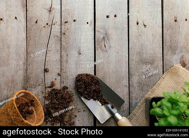Gardening concept. Eco pot with green plant, shovel, dirt on wooden background. Garden hobby. High quality photo