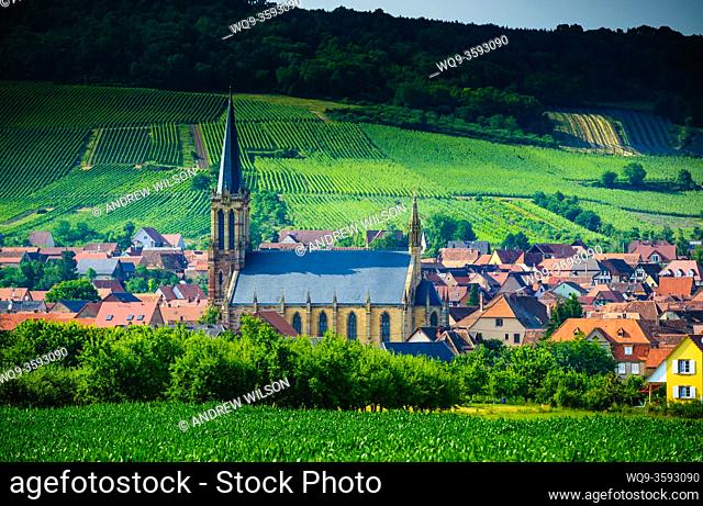 The village of Westhoffen surrounded by vineyards in the foothills of the Vosges Mountains in Alsace, France