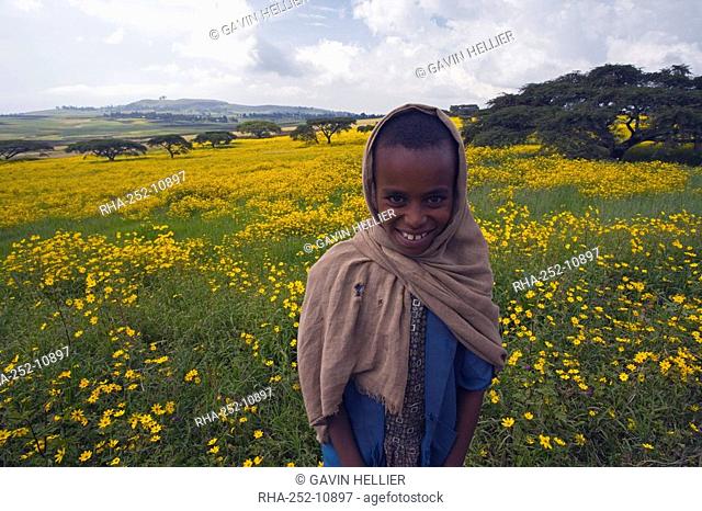 Portrait of local girl, Green fertile fields and yellow Meskel flowers in bloom after the rains, Ethiopian Highlands near the Simien mountains and Gonder