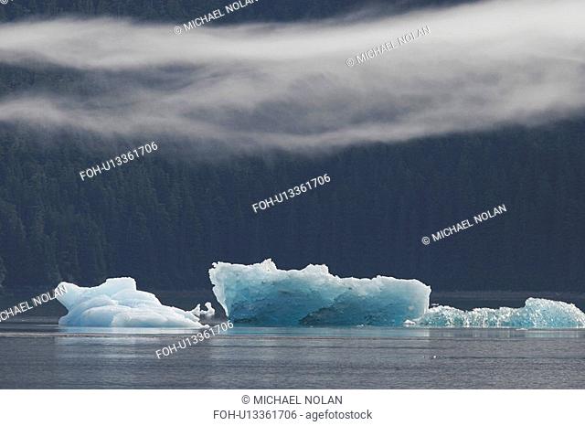 Icebergs calved off the Sawyer tidewater Glacier in Tracy Arm, Southeast Alaska, USA