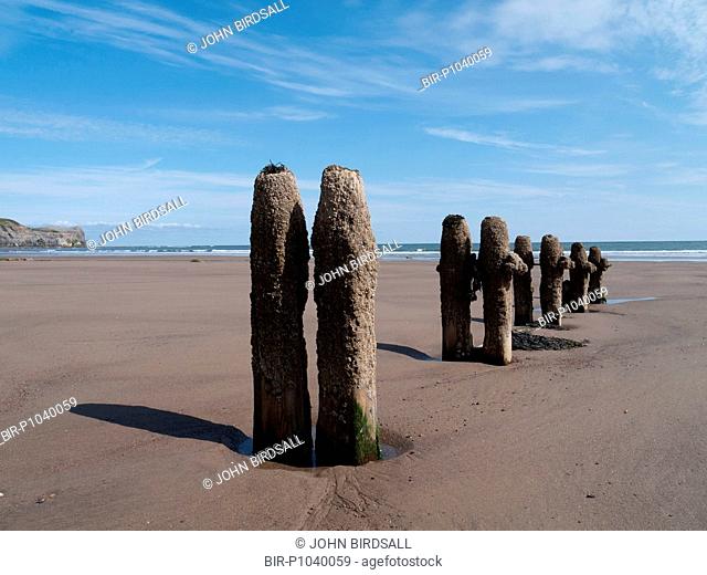 Old wooden groynes on the beach at Sandsend, Whitby