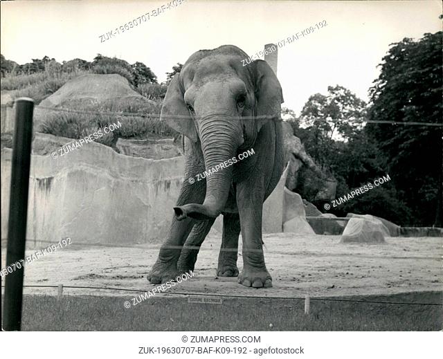 Jul. 07, 1963 - Micheline From Africa Hates Electricity.. Everybody knows that elephants are the most intelligent animals