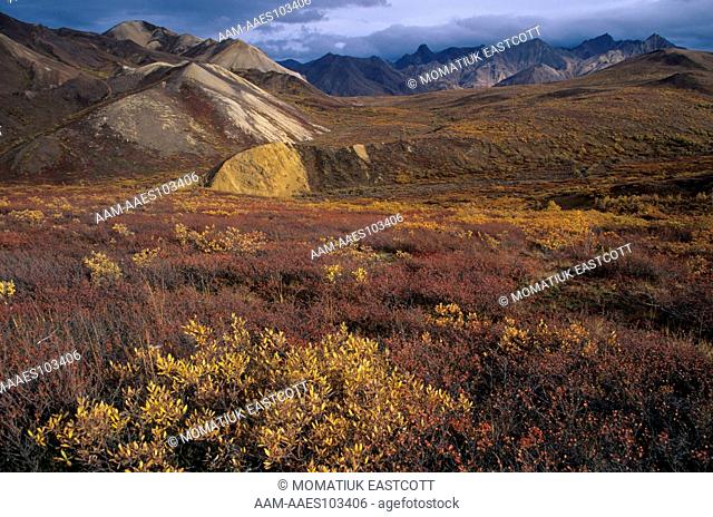 Alaska Range and Autumn Tundra near Sable Pass, Denali NP, AK Alaska