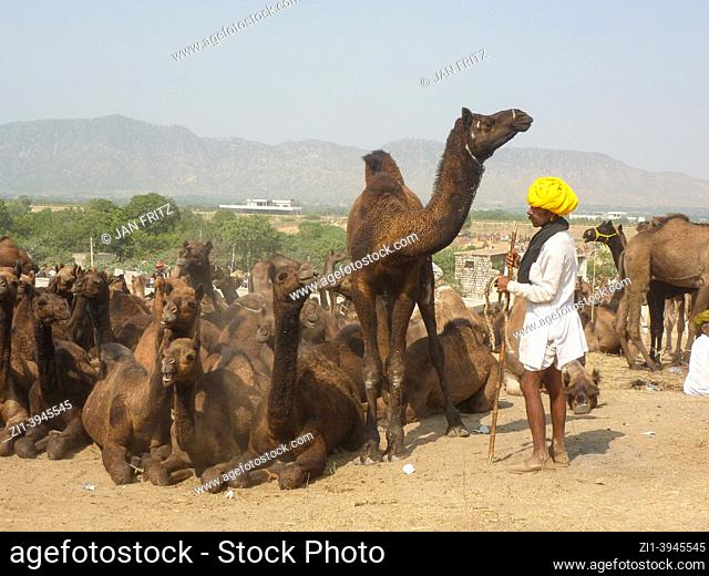 men at camel fair in Pushkar, India