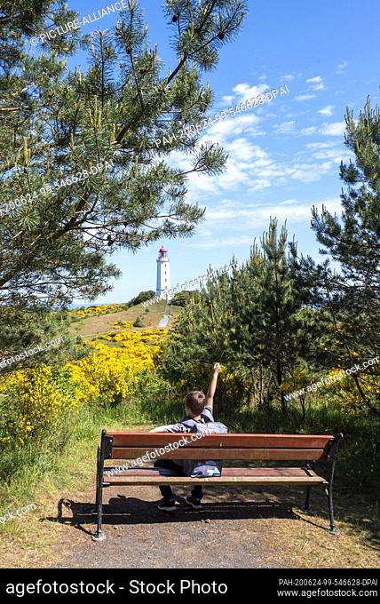 07 June 2020, Mecklenburg-Western Pomerania, Hiddensee: A boy is happy about the blooming broom on the island of Hiddensee