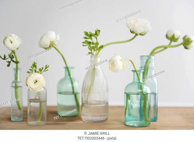 White flowers in bottles on wooden table