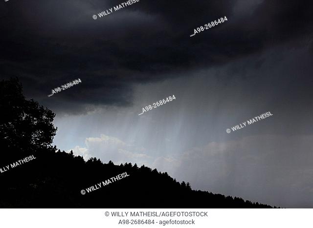 Descending dark wall cloud with heavy rainfall above forest, Bavaria, Germany, Europe