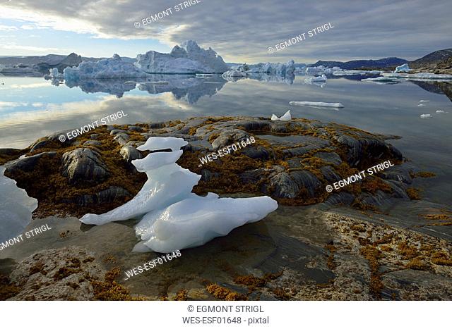 Greenland, East Greenland, view from Sarpaq over the icebergs of Sermilik fjord