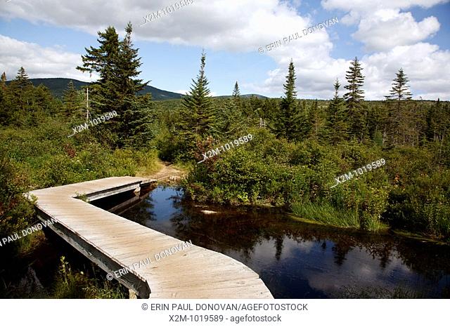 Foot bridge along Zealand Trail near Zealand Pond during the summer months in the White Mountains, New Hampshire USA