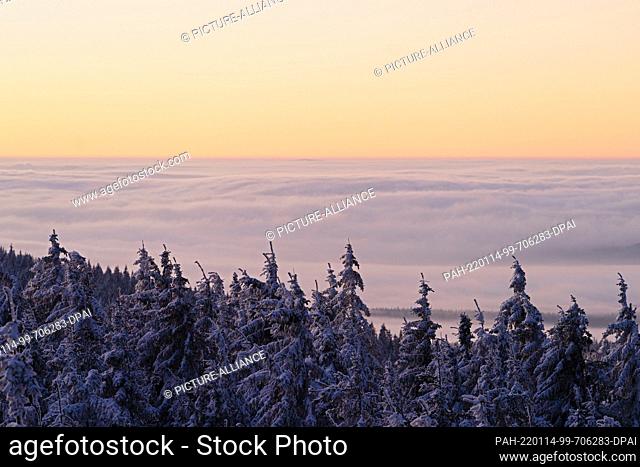 14 January 2022, Bavaria, Neubau: The sky above the snow-covered trees on the Nußhardt in the Fichtelgebirge is colored by the dawn