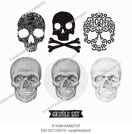 Collection Of geometric anatomical and doodle stylized skulls In monochrome. Universal vector skulls set, Illustrations for typography, textile, website, design