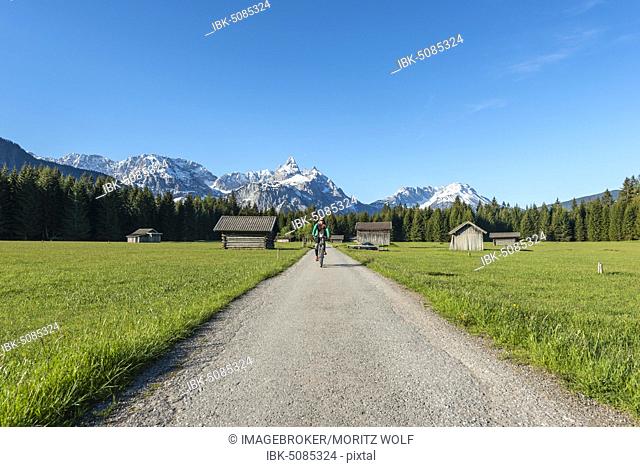 Frau radelt, hay barns in a meadow, Ehrwalder Sonnenspitz and mountains, near Ehrwald, Tyrol, Austria, Europe