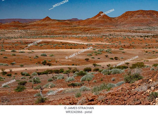 Red rocky landscape punctuated by thorn trees and bushes, north of Palmwag, Namibia, Africa