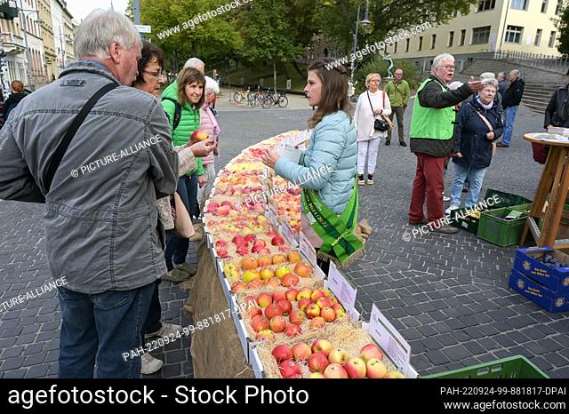 24 September 2022, Saxony-Anhalt, Halle (Saale): Elisabeth Geithel, the 25th Saxon Flower Queen in conversation with interested people at the stand of the...