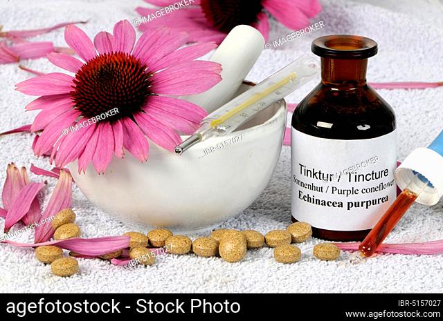 Purple Cone flower tincture (Echinacea purpurea) and coneflower tablets, coneflower tincture, fever thermometer