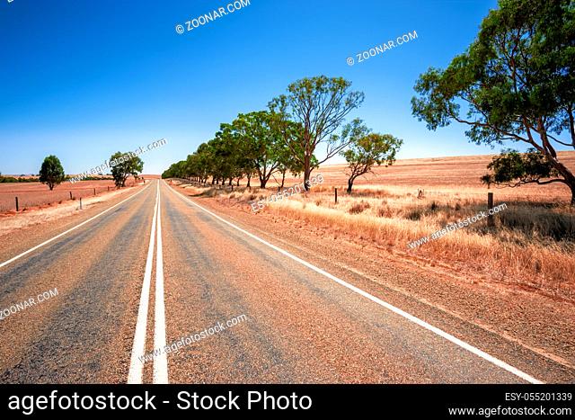 An image of a road in dry south Australia