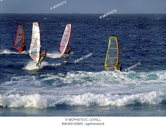 windsufers demonstrate great skill at HOOKIPA BEACH PARK, Hawaii, Maui